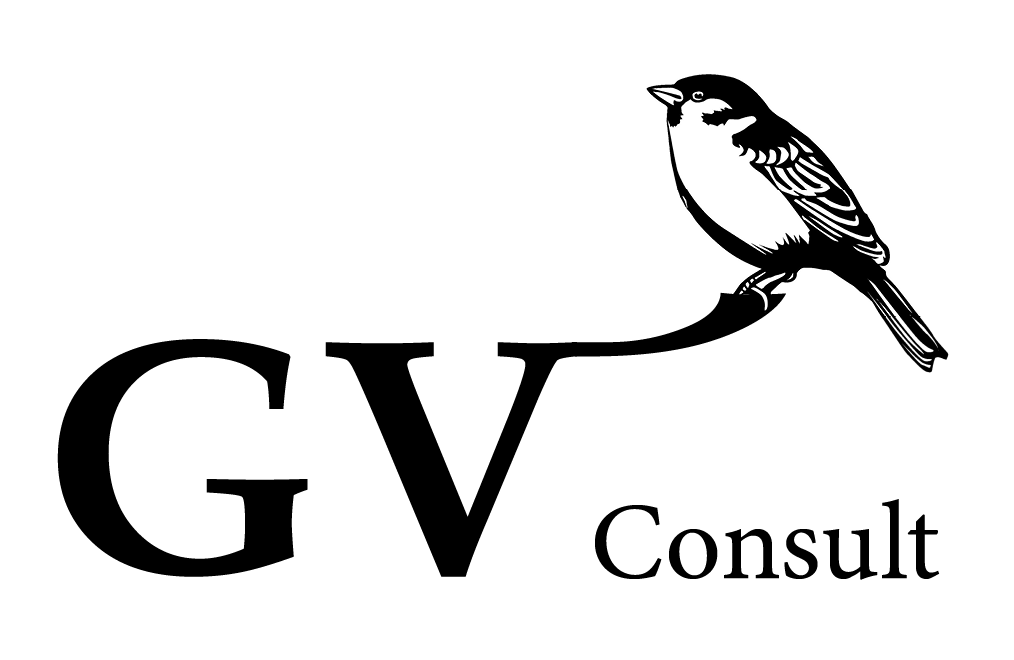 GV-Consult - Gehard Vrabetz